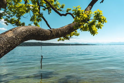 A beautiful shot of a calm blue sea with a tree above it under a blue sky