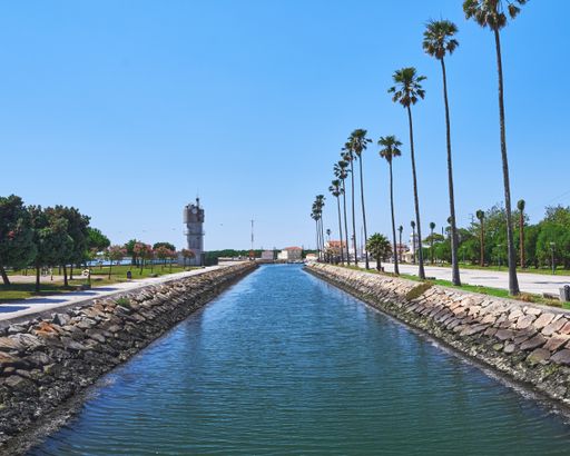 A scenic view of palm trees near water channels from Ria de Aveiro at Oudinot garden in Portugal