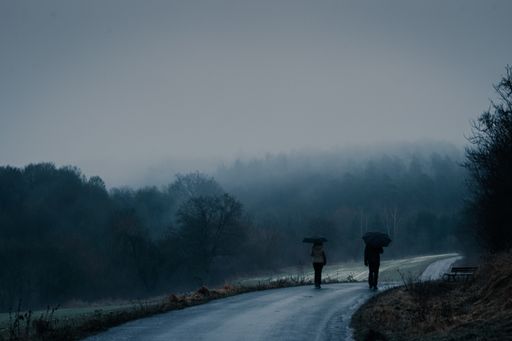 A beautiful shot of people holding umbrellas under the rain in a forest