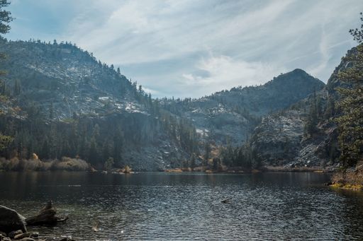 The beautiful greenery in Texas countryside around Lake Tahoe, United States