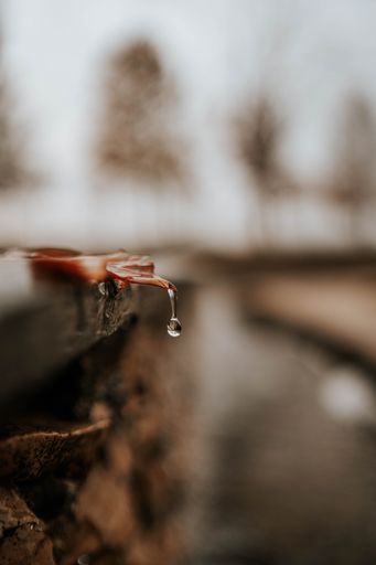 A vertical shallow focus shot of a raindrop at the end of a leaf outdoors
