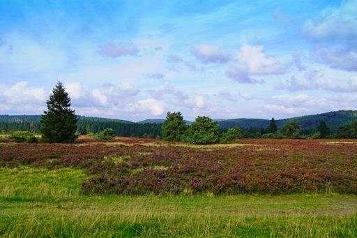 A landscape protection area Neuer Hagen in the Sauerland