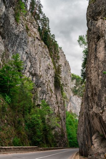 A vertical shot of a road between large cliffs and trees