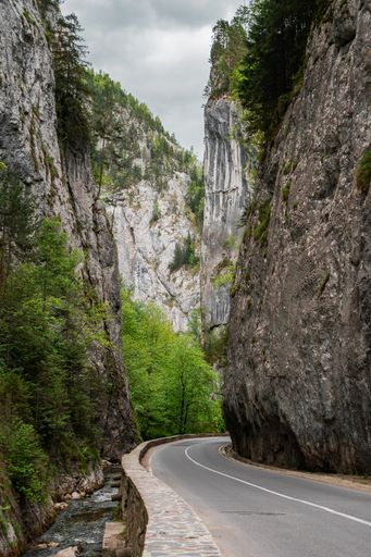 A vertical shot of a road between large cliffs and trees