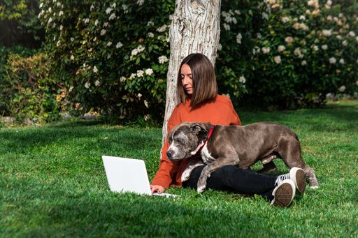 A cute and cheerful Caucasian woman is sitting in the park making a video call with the computer next to her brown dog of the American Stafford Terrie