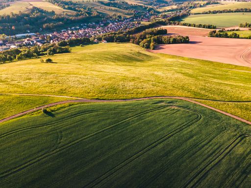 Large areas of land covered in green grass during daytime