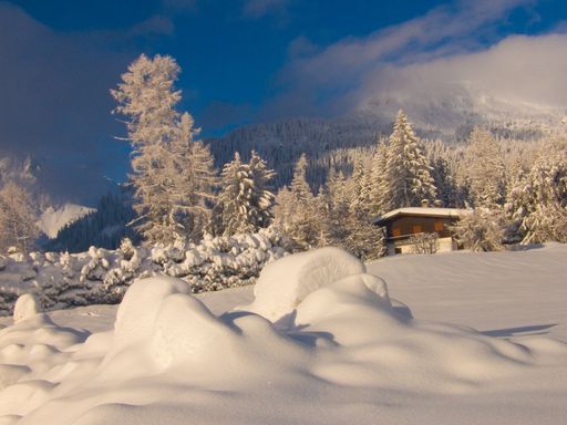 A beautiful landscape of snow trees on snow ground in Haute-Savoie, French Alp with a blue sky
