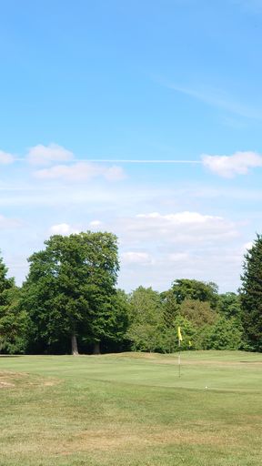 A shot of a huge golfing court surrounded by trees