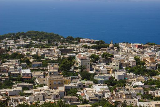 A cityscape of a town near the sea with various buildings and a lot of trees