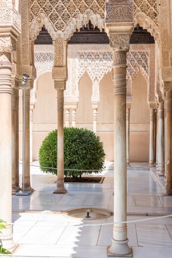 close up photo of green bush and old engravings on the walls in spain Alhambra, Granada, Andalucia