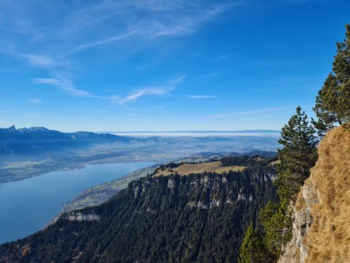 An aerial shot of a lake Thun and a forested mountains under a blue sky