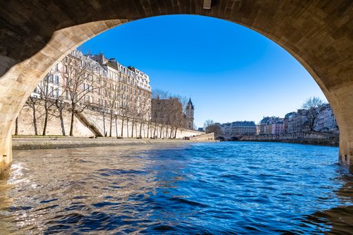 Paris, under the Pont-Neuf on the Seine, typical buildings