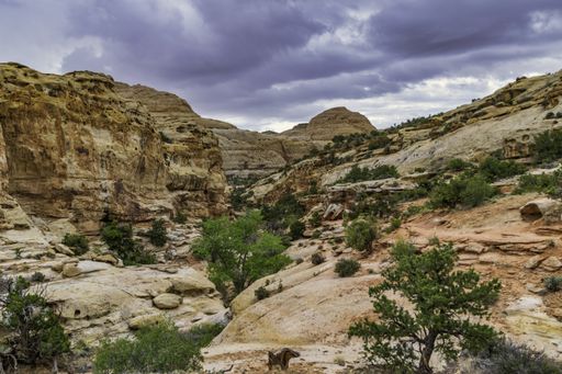 The hiking trail to the Hickman Bridge in Capitol Reef National Park