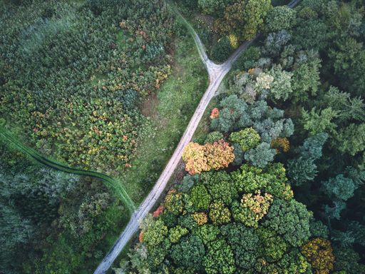 A top view of a road passing through a colorful forest in fall