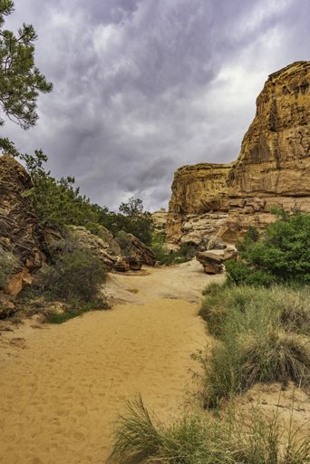 The hiking trail to the Hickman Bridge in Capitol Reef National Park
