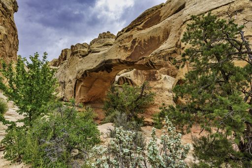 The Hickman Bridge in Capital Reef National Park, USA