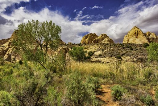A view of the Capitol Reef National Park, USA