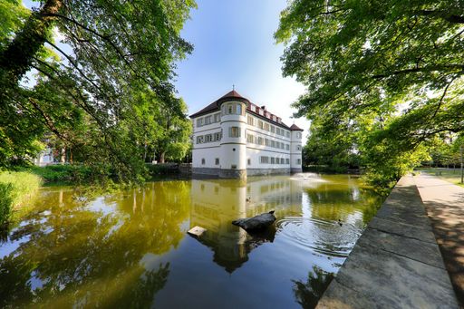 A view of the Moated Castle surrounded with trees in the City of Bad Rappenau in Germany