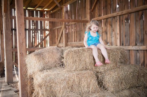An adorable cute little girl in a blue dress sitting on top of a stack of hay in a barn