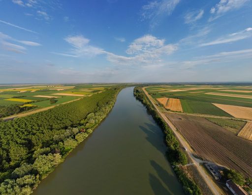 A beautiful view of a river with a forest on a sunny day