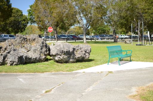 A beautiful view of the park with green bench and rocks on the grass on a sunny day