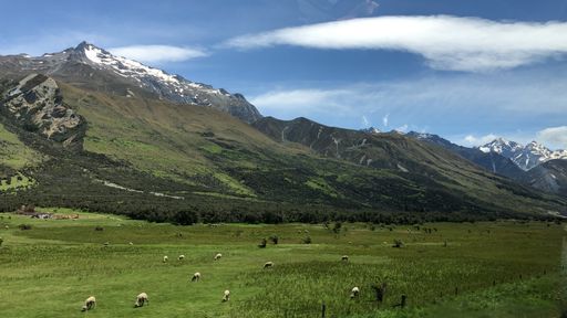 A beautiful landscape view of sheep grazing in the grassland with green mountains and a sunny cloudy sky