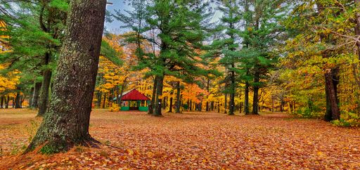 A selective focus shot of a scenic fall landscape in Sault Ste. Marie, Canada