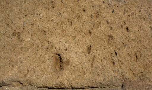 A closeup shot of stone surface with holes