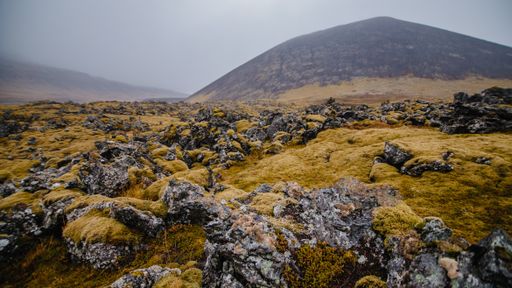 An amazing shot of a rocky landscape partially covered with grass in a foggy weather