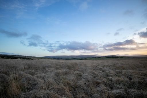 A beautiful shot of a field under the cloudy skies during the sunset