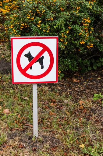 A vertical shot of a no dogs allowed sign on a grass area