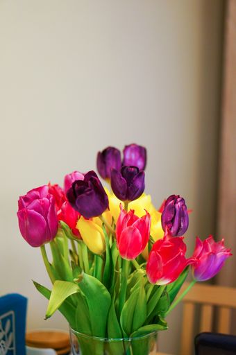 A vertical shot of fresh colorful tulips bouquet in a glass vase