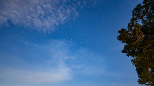 A photo of a bright sky from under the trees