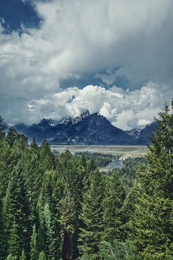 The beautiful shot of the trees Framing the mountains