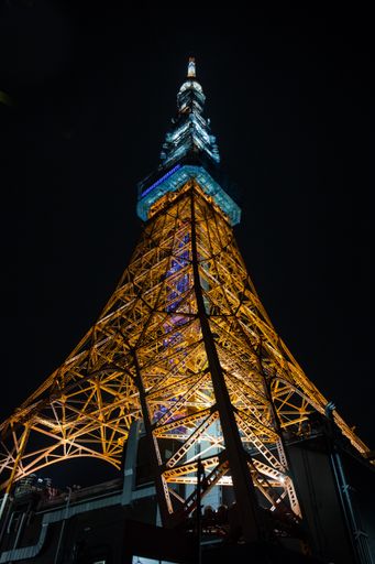 A vertical low angle shot of  Tokyo Tower in Shiba Park  at night