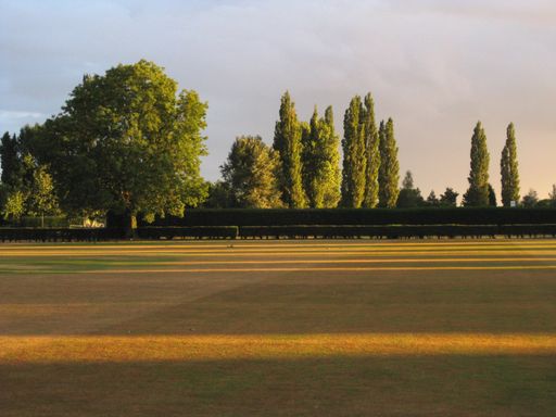 A beautiful shot of a field with trees and a cloudy sky in the background at daytime