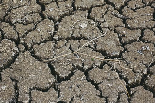 A landscape shot of dry brown soil with cracks