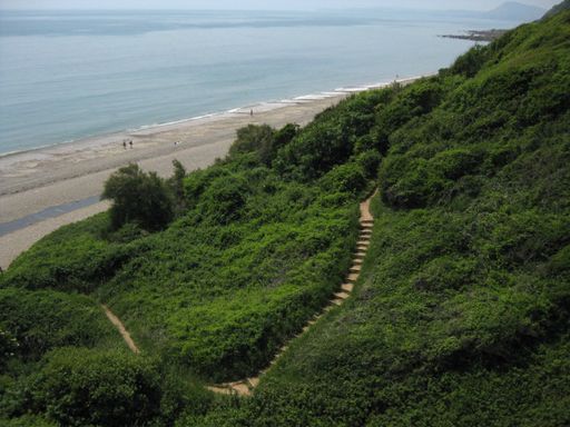An aerial shot of a staircase up to the hill in the middle of a grassy field with trees and plants