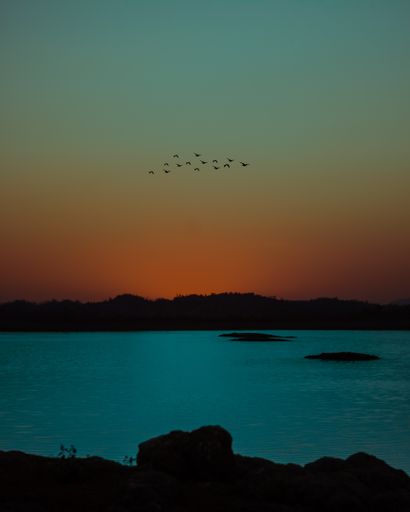 A beautiful view of a group of birds flying with sunset in the background