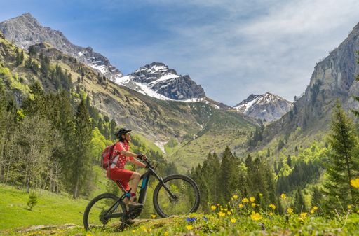 ebike, senior woman smiling, oberstdorf, electric bikes, mountain bike, allgau, outdoors, winter, snow, outdoors background, bavaria, activity, women,