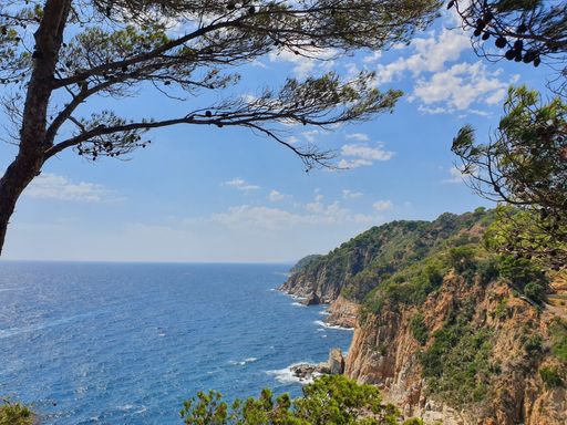 A beautiful shot of forested cliffs near the sea under a blue sky at daytime