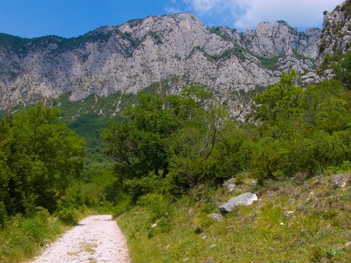 A beautiful view of a mountain and forest on a cloudy day in France