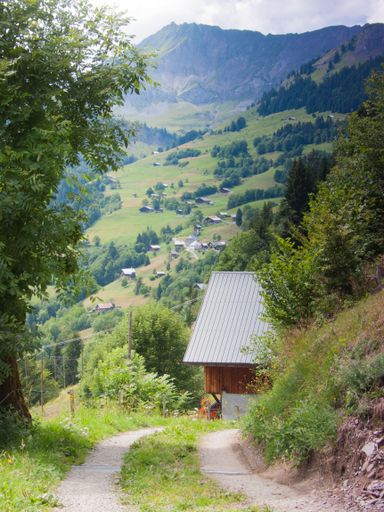A vertical shot of the landscape with houses, forests and mountains on the background