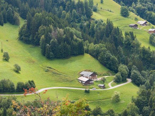 An aerial shot of a beautiful forest near Hauteluce, France