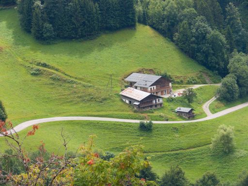 An aerial shot of a beautiful forest near Hauteluce, France