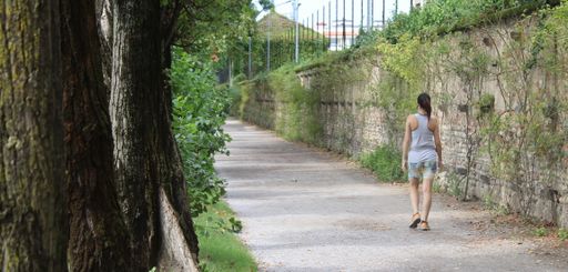 A rear view of the young female walking in the park with beautiful greenery in the morning