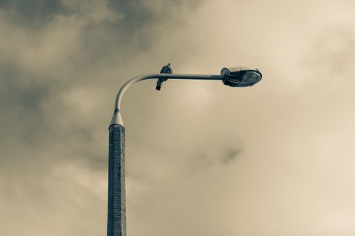 A low angle shot of a bird perched on a street light under a cloudy sky