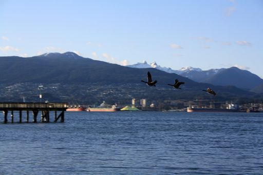 The Vancouver Harbour with cargo ships and mountains in the background in British Columbia, Canada