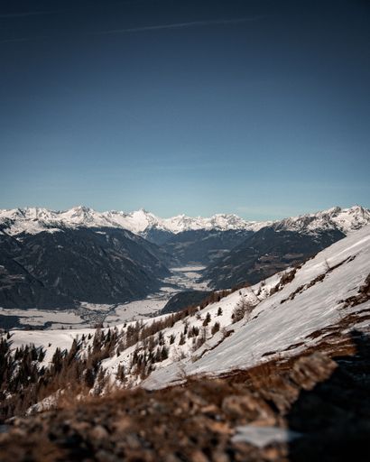 A Beautiful snowy mountainous landscape with firs and leafless dry trees
