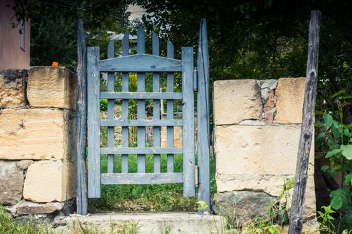 A landscape shot of an old,wooden blue door of a backyard